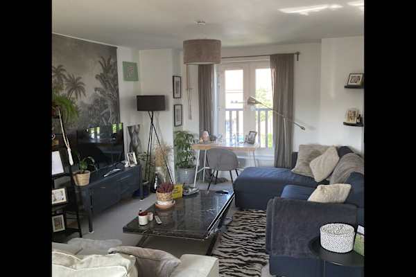 House sit in Harwell, United Kingdom