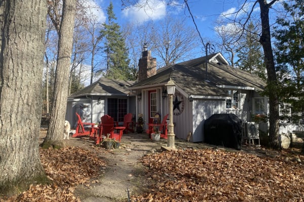 House sit in Coboconk, ON, Canada