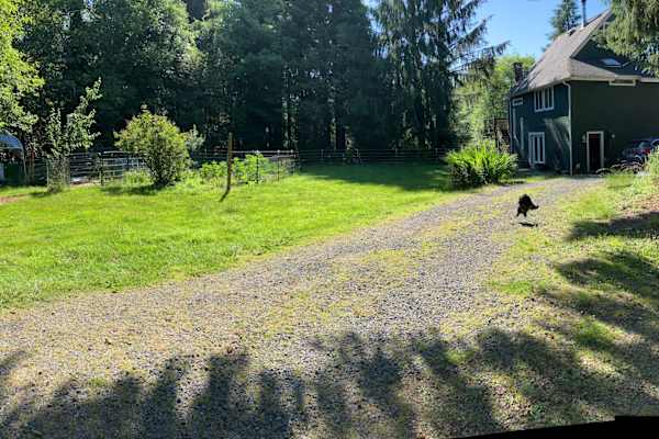 House sit in Nehalem, OR, US