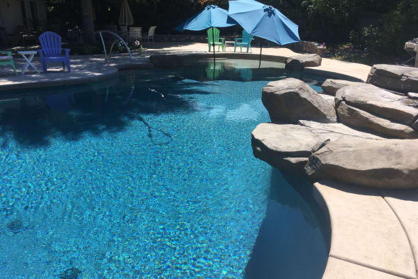 House sit in Chico, CA, US