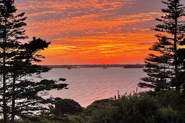 House sit in Yarmouth, NS, Canada