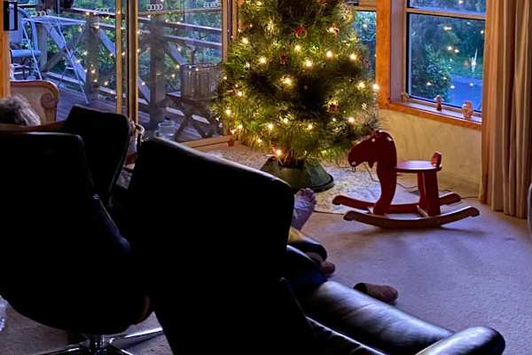 House sit in Canberra, Australian Capital Territory, Australia