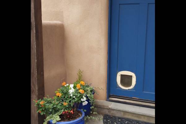 House sit in Santa Fe, NM, US