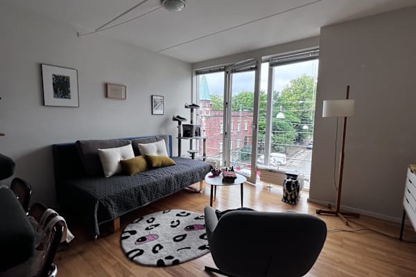 House sit in Copenhagen, Denmark