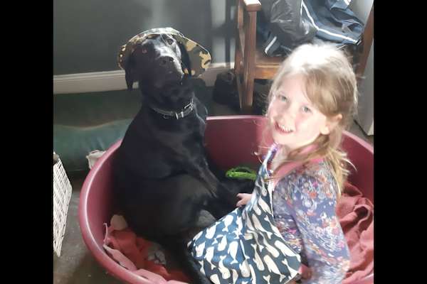 House sit in Stirling, United Kingdom