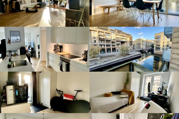 House sit in Copenhagen, Denmark