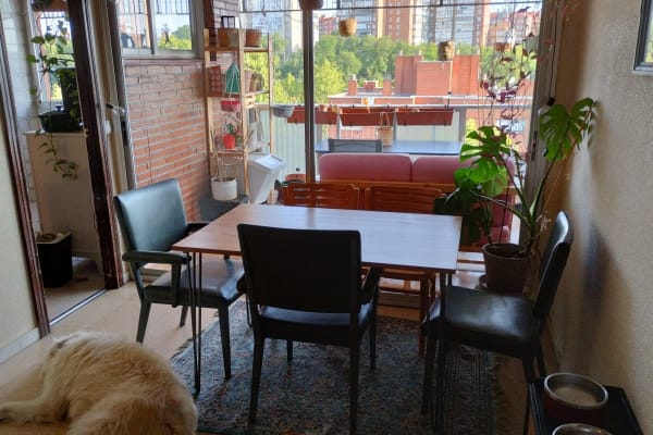 House sit in Madrid, Spain