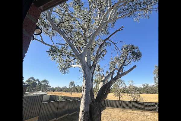 House sit in Seymour, VIC, Australia