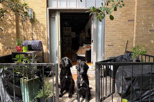 House sit in Atlanta, GA, US