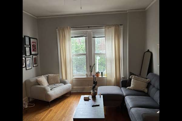 House sit in Chicago, IL, US