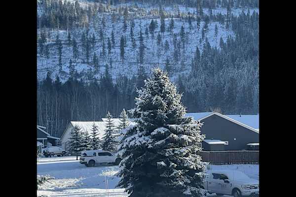 House sit in Sagle, ID, US