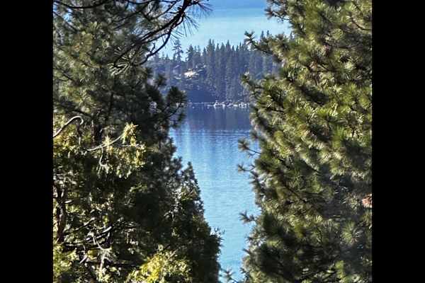 House sit in Incline Village, NV, US