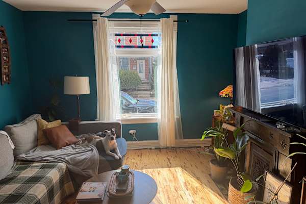 House sit in Columbus, OH, US