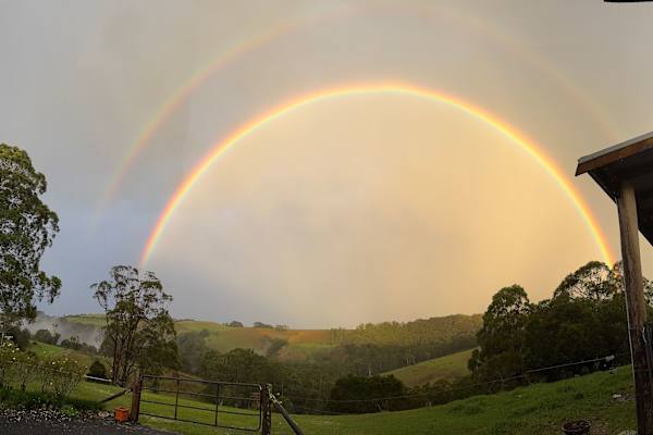 House sit in Dorrigo, NSW, Australia