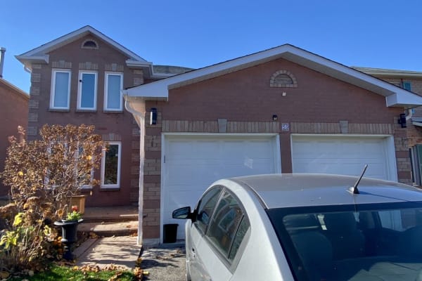 House sit in Ajax, ON, Canada
