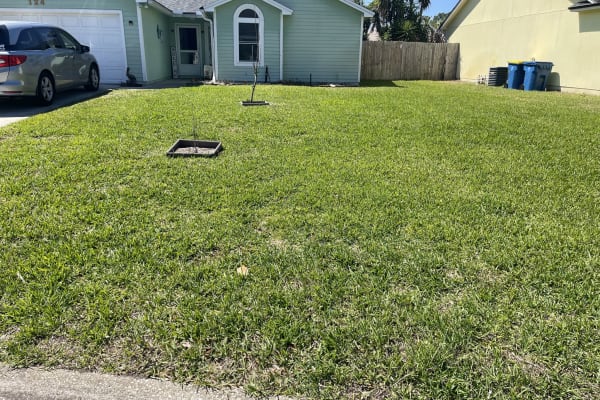 House sit in Jacksonville, FL, US