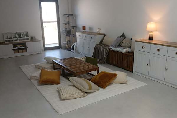 House sit in Muscat, Oman