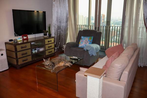 House sit in Bangkok, Thailand