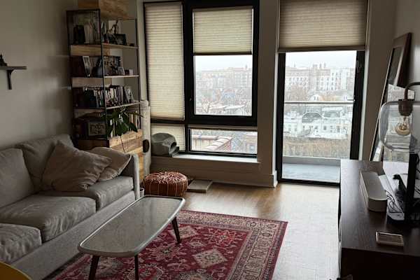 House sit in Brooklyn, NY, US