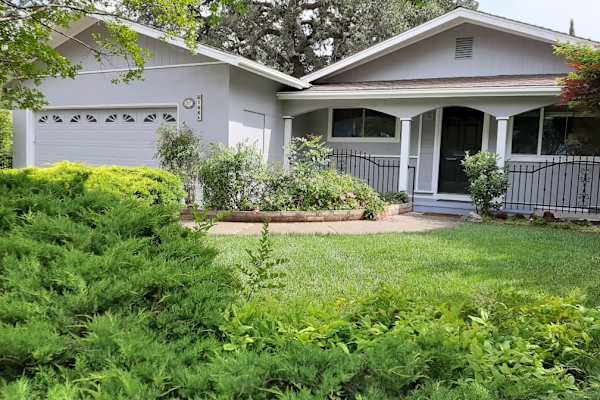 House sit in Walnut Creek, CA, US