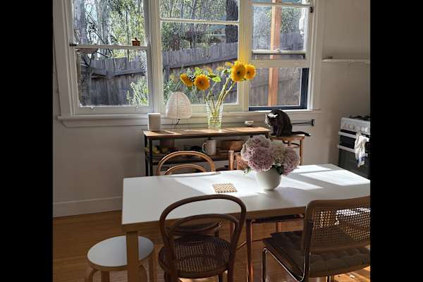 House sit in Melbourne, VIC, Australia