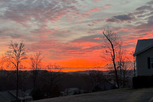 House sit in Chattanooga, TN, US