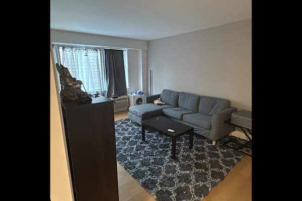 House sit in New York City, NY, US