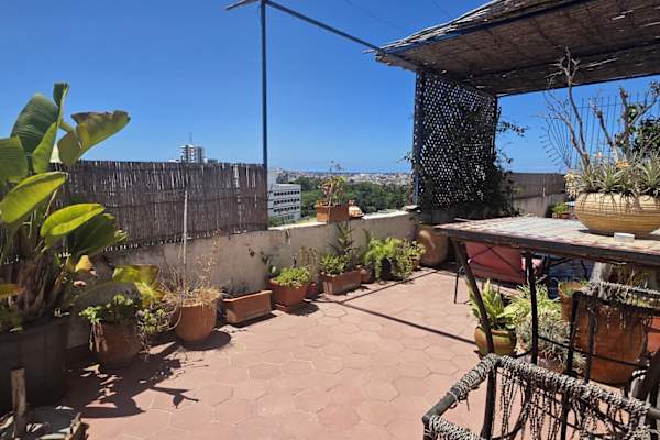 House sit in Rabat, Morocco