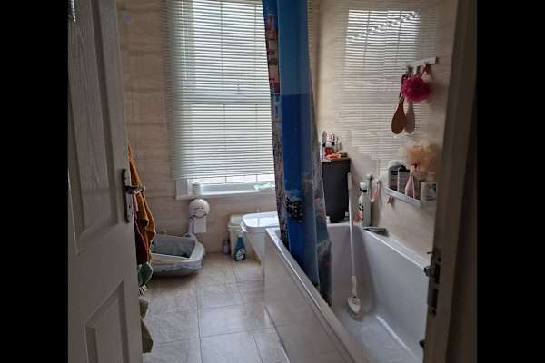 House sit in Worthing, United Kingdom