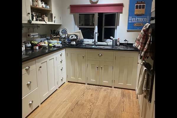 House sit in Ely, United Kingdom