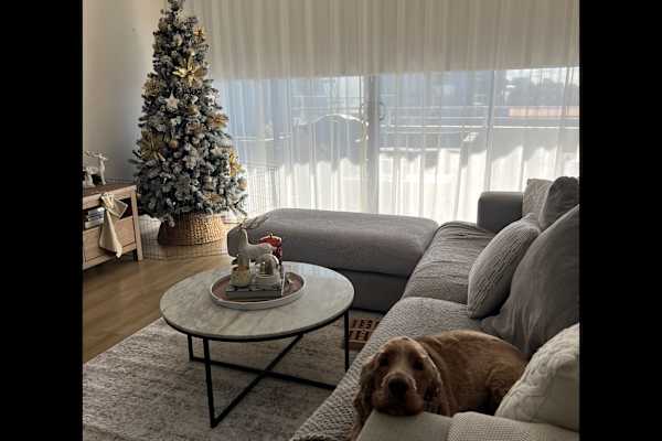 House sit in Sydney, NSW, Australia