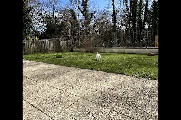 House sit in Orsay, France