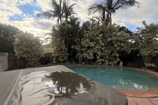 House sit in Brisbane, QLD, Australia
