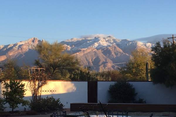 House sit in Tucson, AZ, US