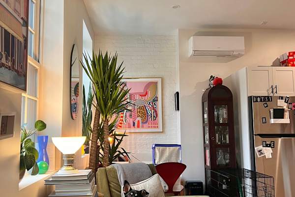House sit in New York City, NY, US