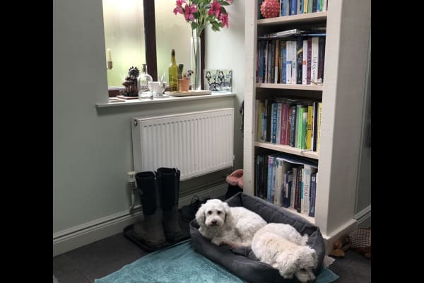 House sit in Hayfield, United Kingdom