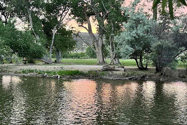 House sit in Española, NM, US