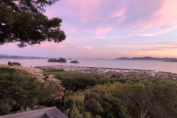 House sit in San Rafael, CA, US