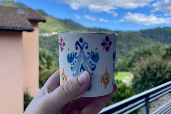 House sit in Lugano, Switzerland