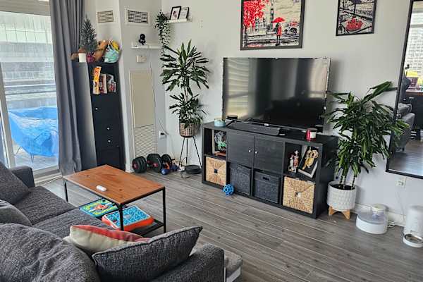 House sit in Toronto, ON, Canada