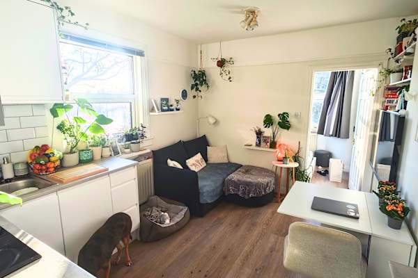 House sit in Muswell Hill, United Kingdom