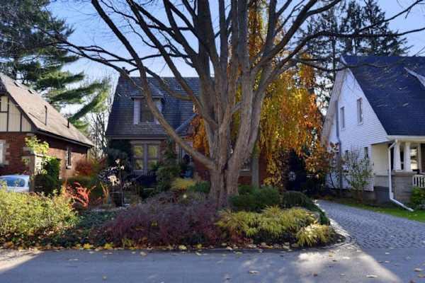 House sit in Dundas, ON, Canada
