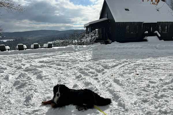 House sit in Putney, VT, US