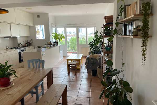 House sit in Barcelona, Spain