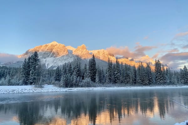 House sit in Canmore, AB, Canada