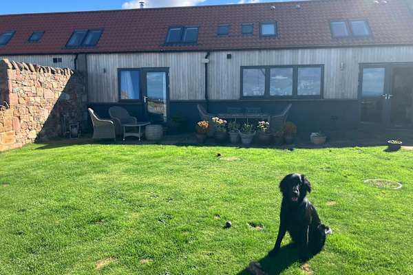 House sit in Haddington, United Kingdom