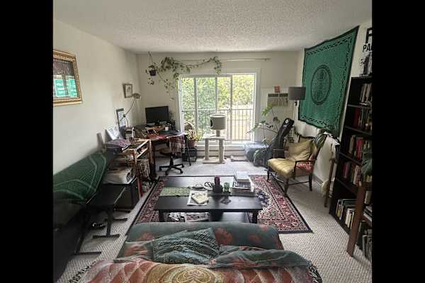 House sit in Saskatoon, SK, Canada