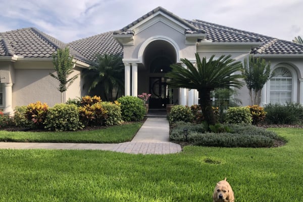 House sit in Tampa, FL, US