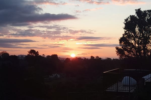 House sit in Auckland, New Zealand