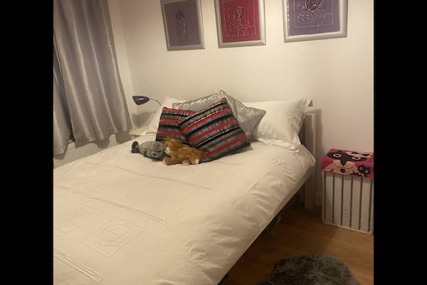 House sit in Dublin, Ireland